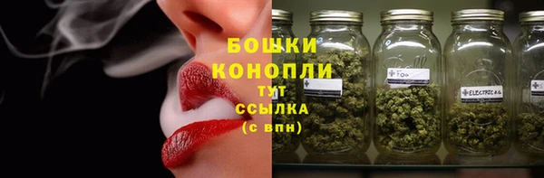 шишки Вязьма